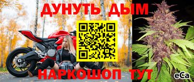 apvp Заводоуковск