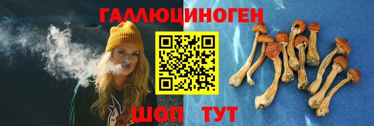 Галлюциногенные грибы ЛСД  магазин продажи наркотиков  Вход с VPN  Лосино-Петровский  Псилоцибиновые грибы Cubensis 